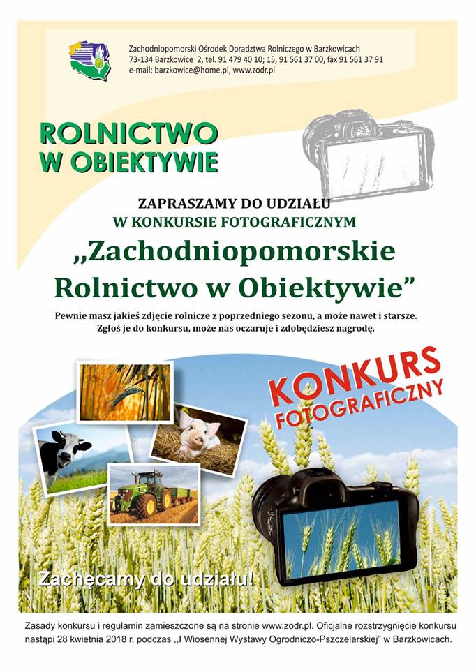 Konkurs fotograficzny