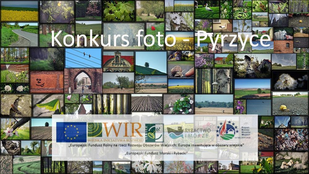 konkurs foto pyrzyce